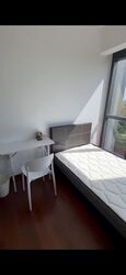 Normanton Park (D5), Apartment #572198021